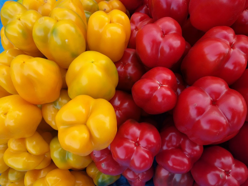 Cover photo of Goodway Trading (Exporters of Fresh Fruits and Vegetables)